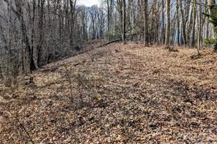 #49 Hazel Top Section Teaberry Ridge Rd, Waynesville, NC 28786 - Photo 1