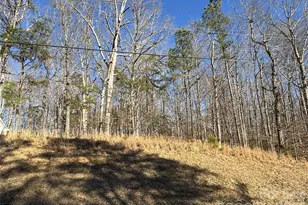 211 Sleepy Hollow Ln, Mount Gilead, NC 27306 - Photo 1