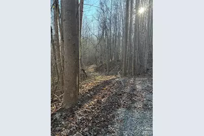 V/L Brindlewood Drive #38V, Nebo, NC 28761 - Photo 1