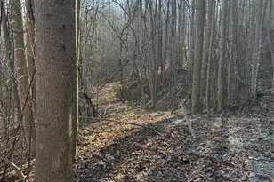 V/L Brindlewood Dr, Nebo, NC 28761 - Photo 1