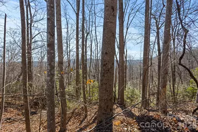 0 Dogwood Drive, Lake Lure, NC 28746 - Photo 1