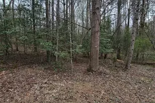 Vacant Elmwood Dr, Troy, NC 27371 - Photo 1