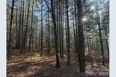 1291 Scenic Vista Drive #288, Nebo, NC 28761 - Photo 1