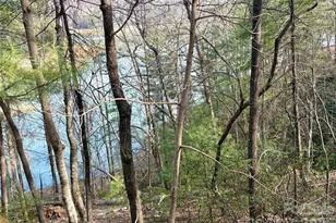 0 Falls View Trail, Lake Lure, NC 28746 - Photo 1