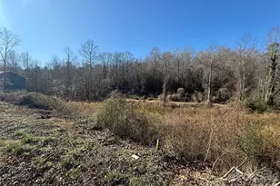 1298 39th St Cir SW, Hickory, NC 28602 - Photo 1