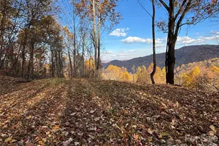 (North Lot) Meadow Fork Rd, Hot Springs, NC 28743 - Photo 1