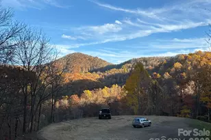 (East Lot) Meadow Fork Rd, Hot Springs, NC 28743 - Photo 1