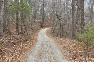 00 Hickory Wood Trail, Hendersonville, NC 28739 - Photo 1