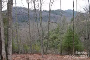 0000 Silverglen Way, Hendersonville, NC 28792 - Photo 1