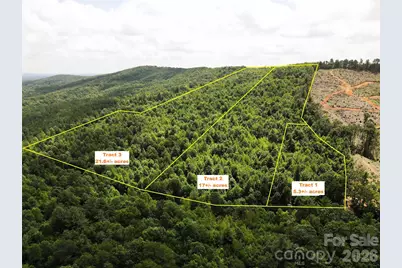 Lot 1 & 2 Mount Gilead Church Road #1, Connelly Springs, NC 28612 - Photo 1