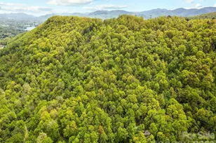 00 Locust Trail, Waynesville, NC 28785 - Photo 1