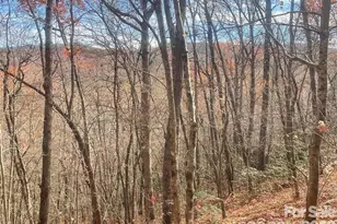 000 Yates Ave, Black Mountain, NC 28711 - Photo 1