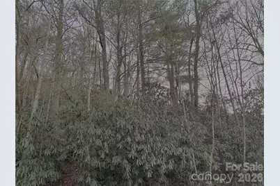 742 Zelda Court #71, Hendersonville, NC 28792 - Photo 1