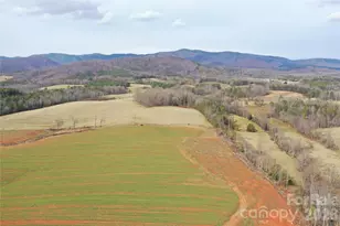 600 Moriah School Rd, Casar, NC 28020 - Photo 1