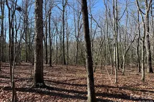 0 Thayer Rd, Troy, NC 27371 - Photo 1