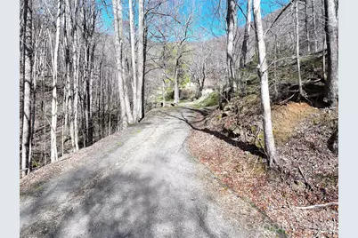 1002 Ned Cove Road, Waynesville, NC 28785 - Photo 1