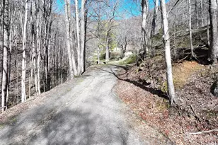 1002 Ned Cove Rd, Waynesville, NC 28785 - Photo 1