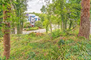 99999 Hazzard St, Asheville, NC 28801 - Photo 1