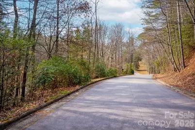Lot 13 Deerlake Drive #13, Brevard, NC 28712 - Photo 1