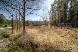 9999 Kanuga Lake Rd, Hendersonville, NC 28739 - Photo 1