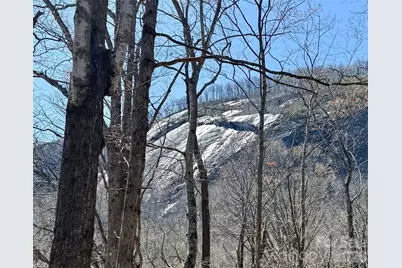 Lot 229 Swallow Lane, Lake Lure, NC 28746 - Photo 1