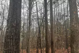 8223 Walkup Rd, Waxhaw, NC 28173 - Photo 1