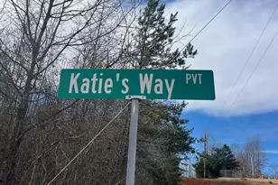 24 Katie's Wy, Nebo, NC 28761 - Photo 1