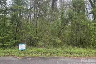 0 Lynnbrook Way, Columbus, NC 28722 - Photo 1