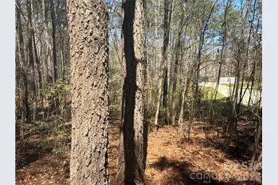 1403 Ron Whicker Drive, Catawba, NC 28609 - Photo 1
