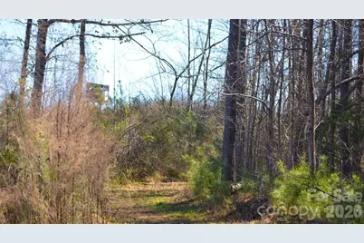 00 Bobby Faucette Road #3, Jonesville, SC 29353 - Photo 1