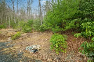 288 Poplar Dr, Beech Mountain, NC 28604 - Photo 1