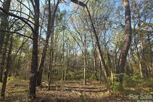 00 Aziza Rd, Rock Hill, SC 29732 - Photo 1