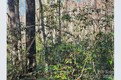Lot 4 Whitney Boulevard, Lake Lure, NC 28746 - Photo 1