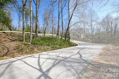 47 Chestnut Lane, Hendersonville, NC 28792 - Photo 1