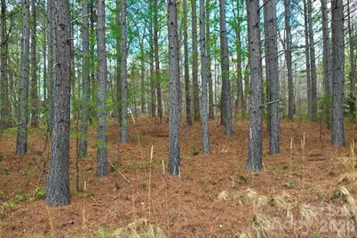 0 Clearwater Parkway #14, Rutherfordton, NC 28139 - Photo 1