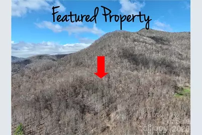 00 Neds Branch Road, Waynesville, NC 28785 - Photo 1