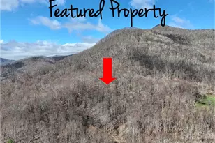 00 Neds Branch Rd, Waynesville, NC 28785 - Photo 1