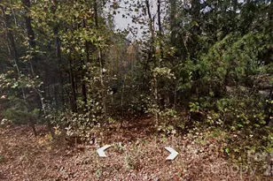 Lot 36 Smith Woods Ln, Hickory Grove, SC 29717 - Photo 1
