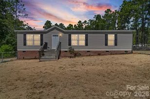 7560 Hwy 265 Hwy, Mount Croghan, SC 29727 - Photo 1