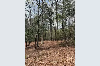 1553 Country View Way, Arden, NC 28704 - Photo 1