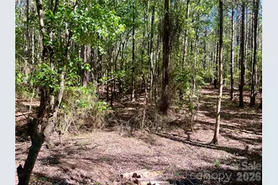 0 White Store Road, Polkton, NC 28135 - Photo 1