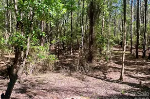 0 White Store Rd, Polkton, NC 28135 - Photo 1