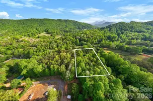 99999 Elana Chase Dr, Candler, NC 28715 - Photo 1