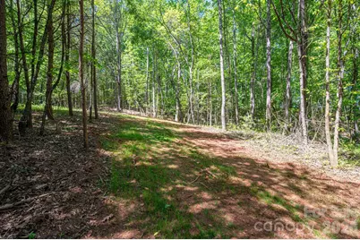 0 Captains Cove Lane #31, Lincolnton, NC 28092 - Photo 1