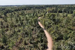 Lot 9 Farris Cato Rd, Pageland, SC 29728 - Photo 1