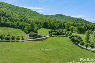 1547 Walnut Cove Rd, Hendersonville, NC 28739 - Photo 1