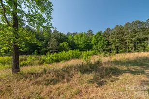 0 Potter Rd, Lancaster, SC 29720 - Photo 1