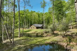 183 Mayfly Ct, Spruce Pine, NC 28777 - Photo 1
