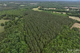 Tbd Hasty Road N, Peachland, NC 28133 - Photo 1