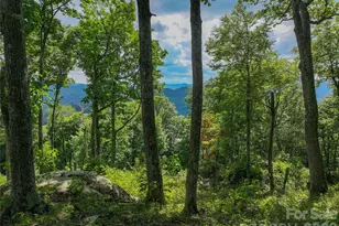 G30 Lodge Woods Trail, Banner Elk, NC 28604 - Photo 1